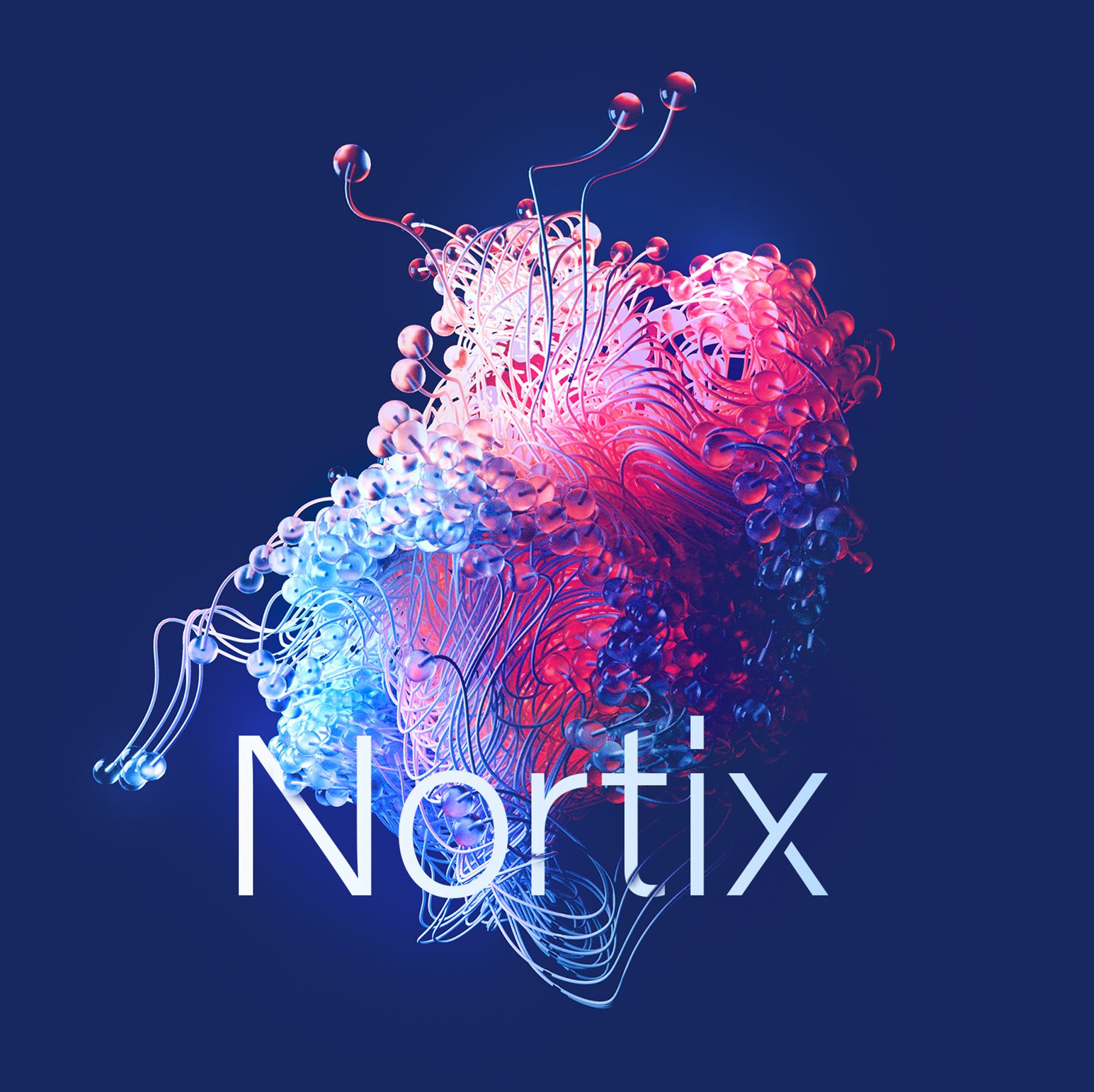 Nortix